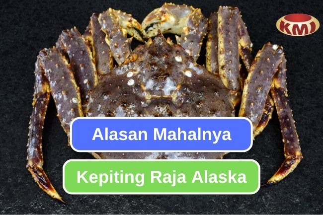 Inilah Faktor-faktor di Balik Mahalnya Harga Kepiting Raja Alaska